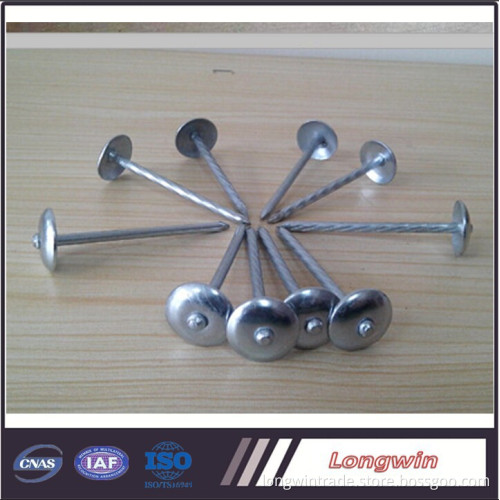 High quality polished umbrella roofing nails in China